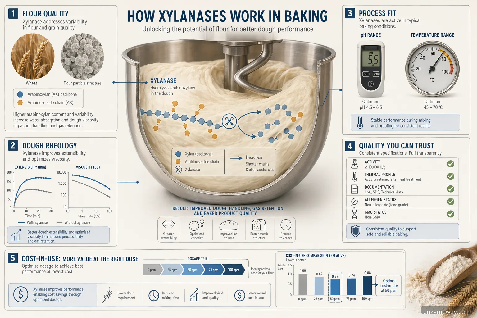 working of xylanases in baking checklist showing flour, dough rheology, heat profile, QC, and cost-in-use