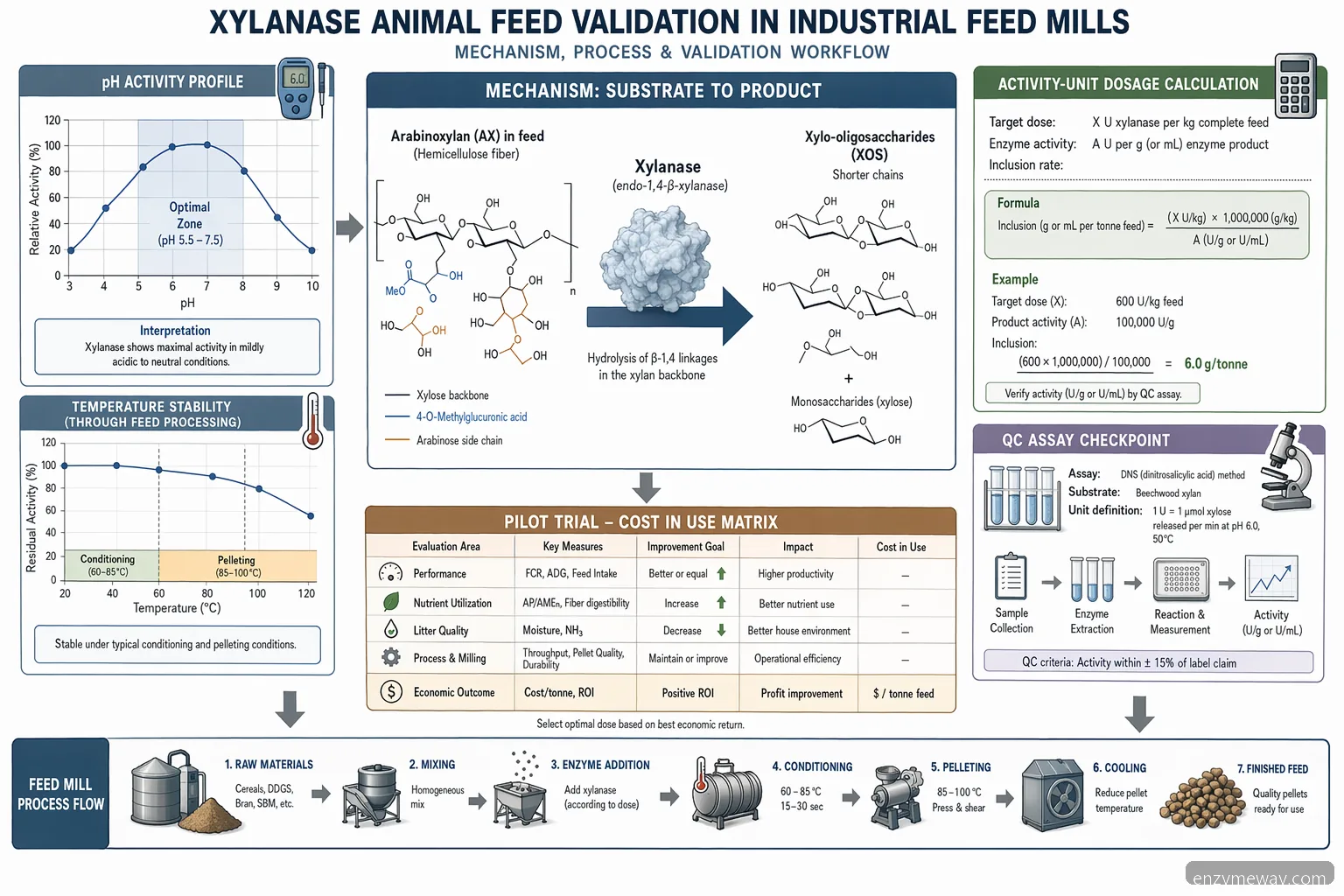 xylanase animal feed validation diagram showing pH and temperature curves, assay QC, and substrate-to-product flow