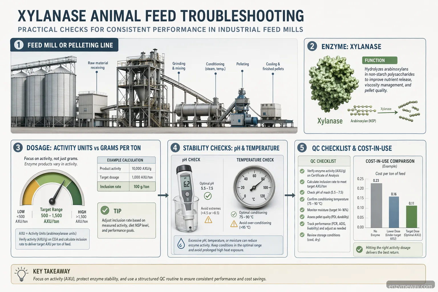 xylanase animal feed troubleshooting infographic showing dosage units, pH, heat stability, QC, and cost-in-use