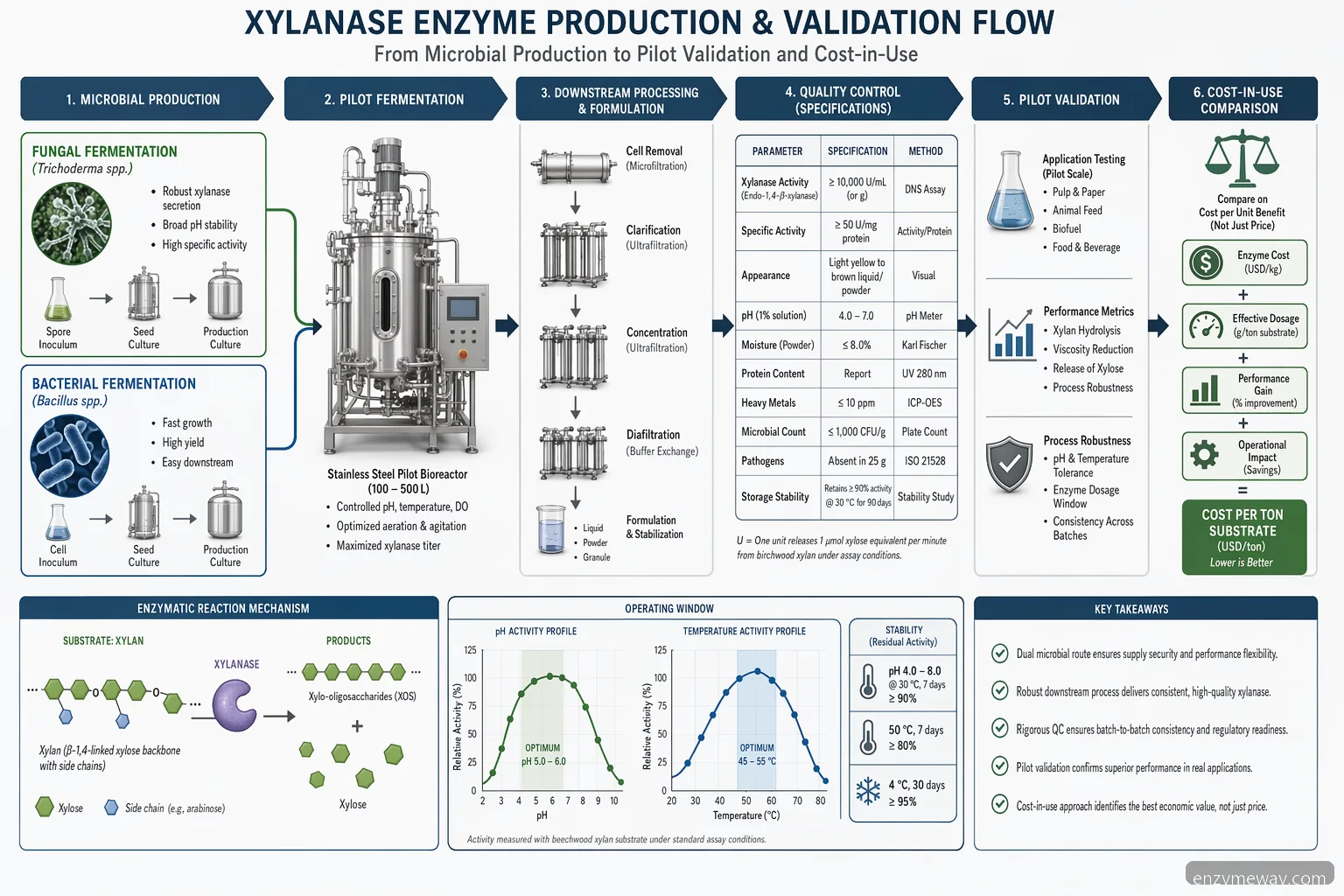 xylanase enzyme production scale-up diagram showing route selection, operating window, QC, and pilot validation