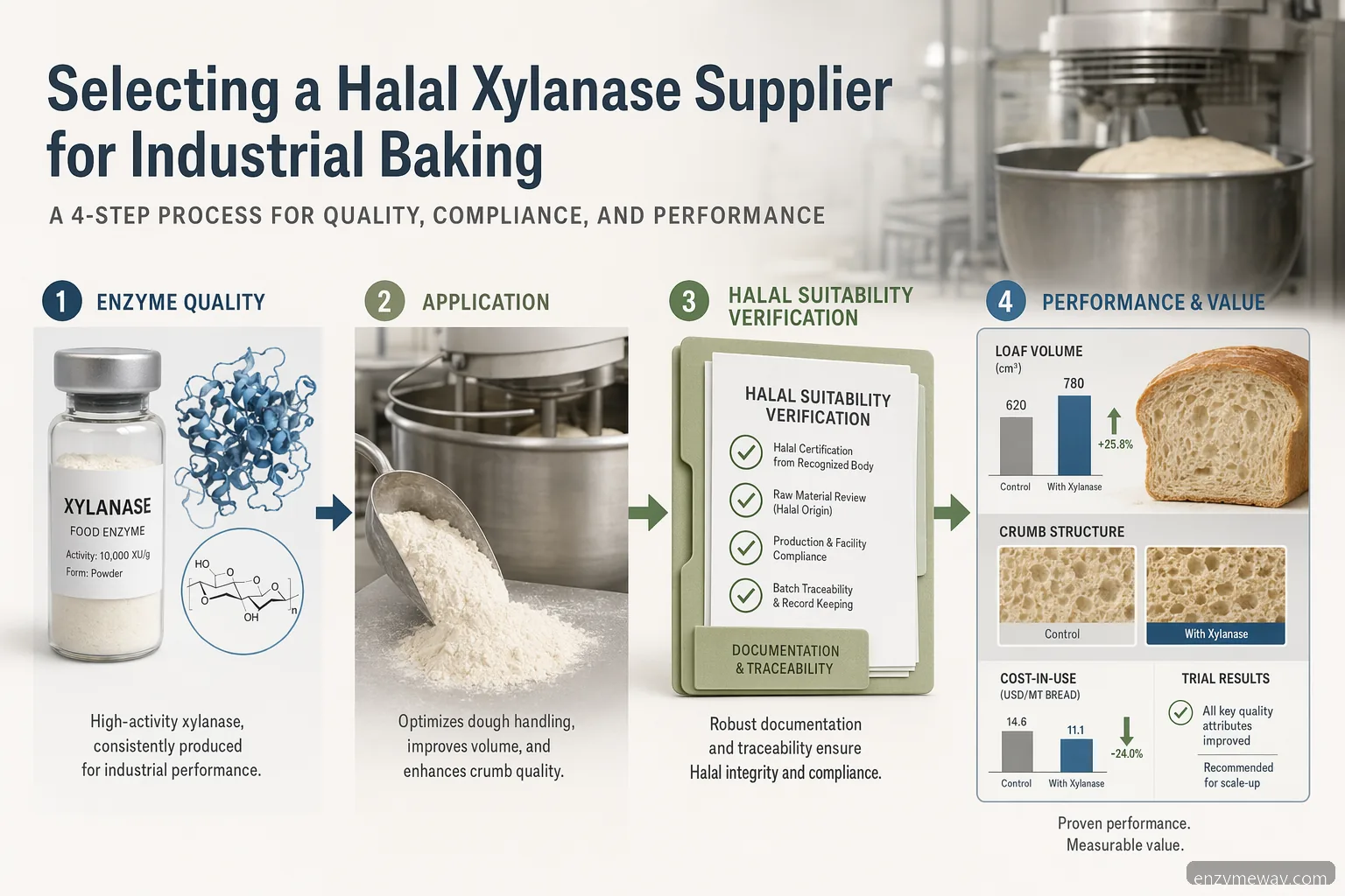 xylanase halal supplier guide for industrial baking, showing enzyme sourcing, halal checks, dough gains, and QC trials