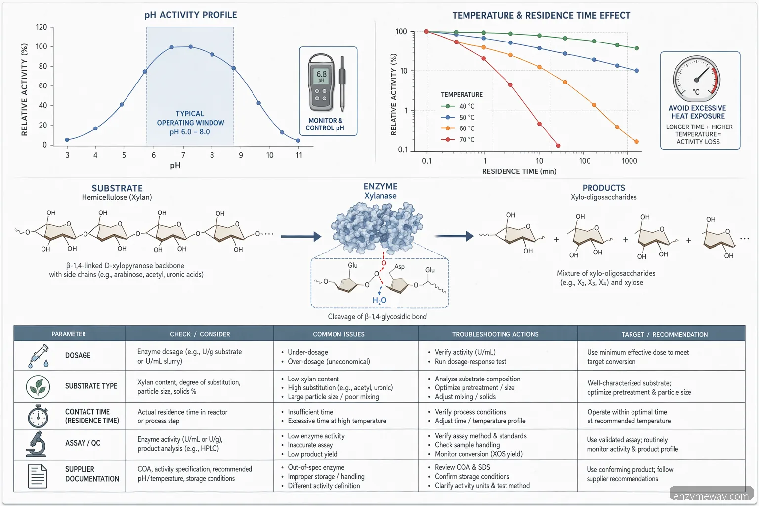 xylanase production pH and temperature mechanism diagram showing activity window and substrate conversion