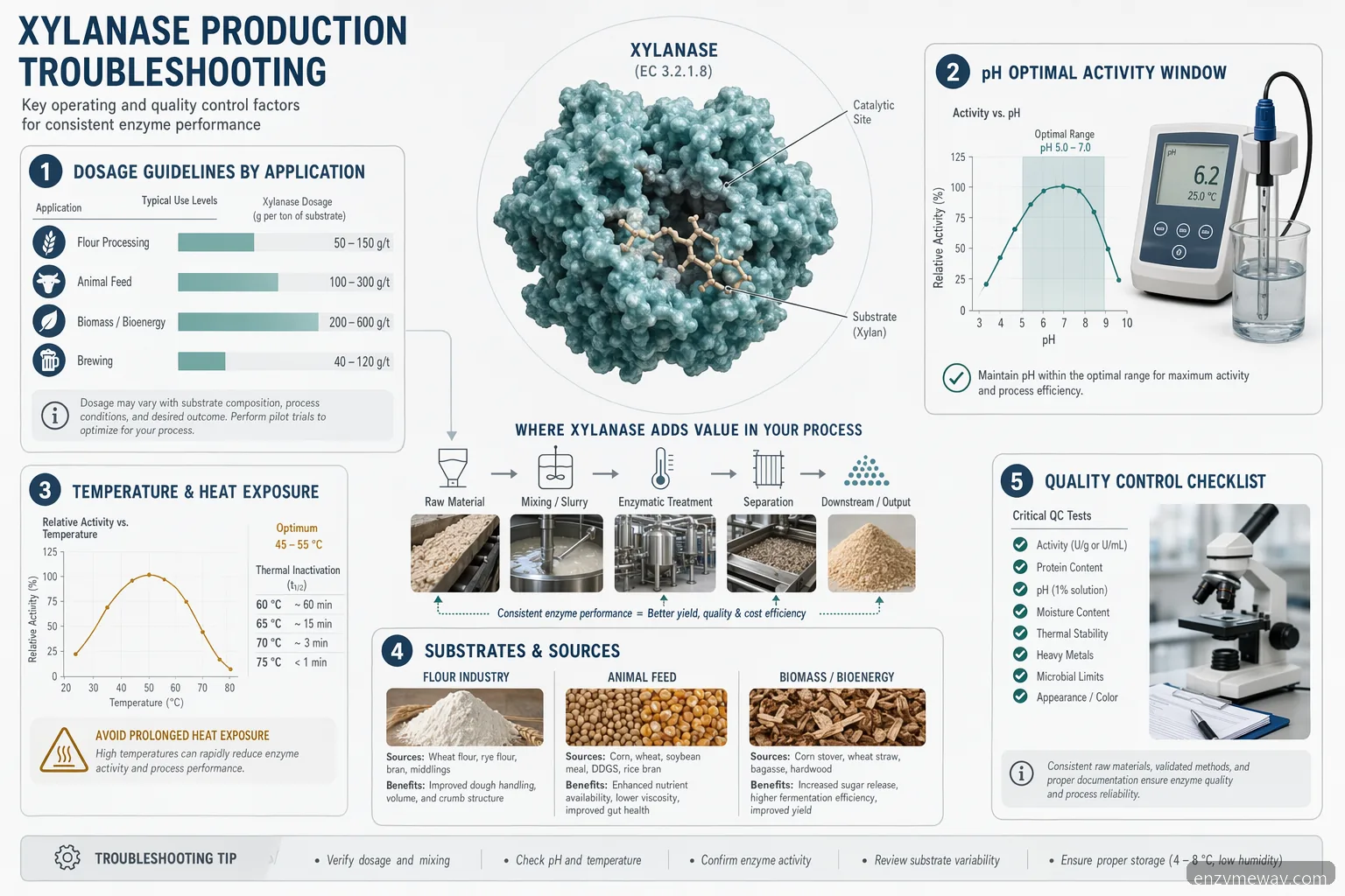 xylanase production dosage, pH, temperature and QC troubleshooting infographic with enzyme conditions and checks
